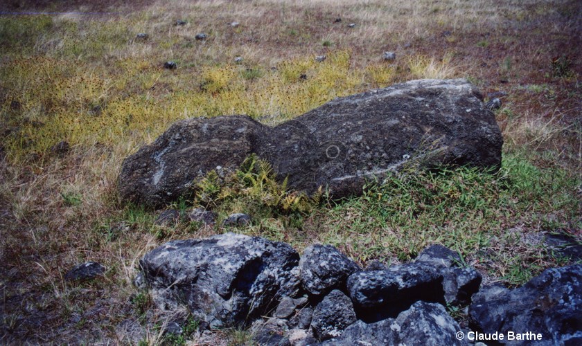 image02