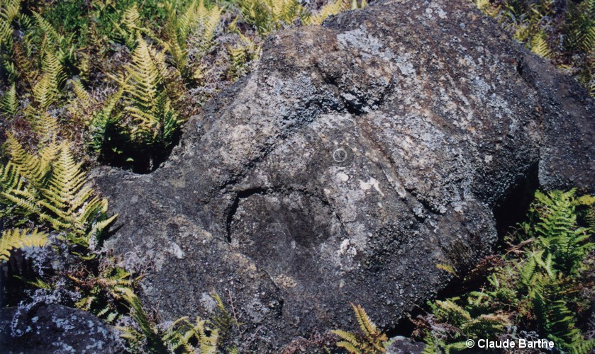 image03