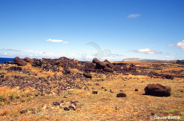 image02