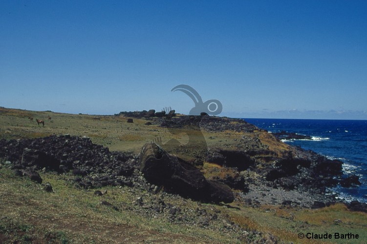 image01