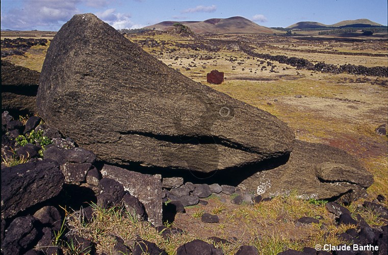 image15