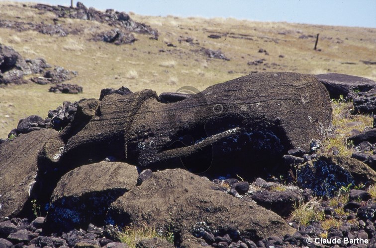 image14
