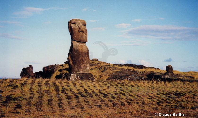 image05