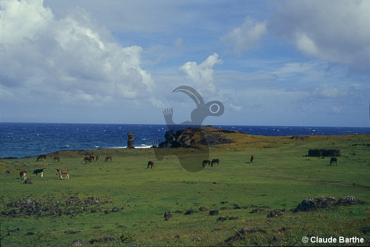 image03