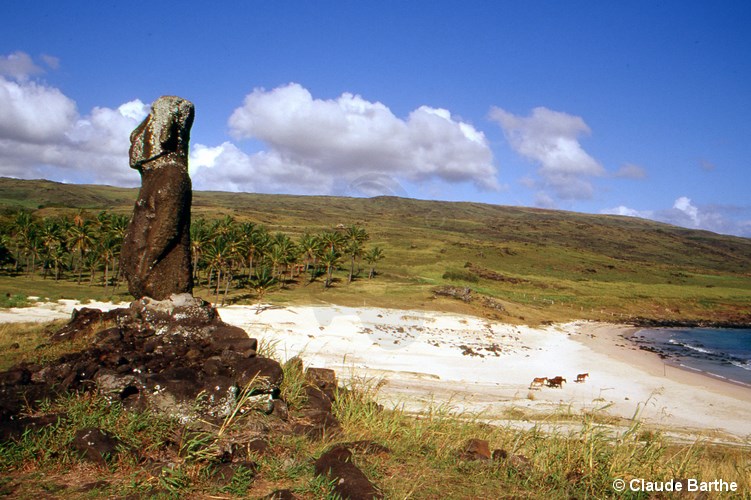 image06
