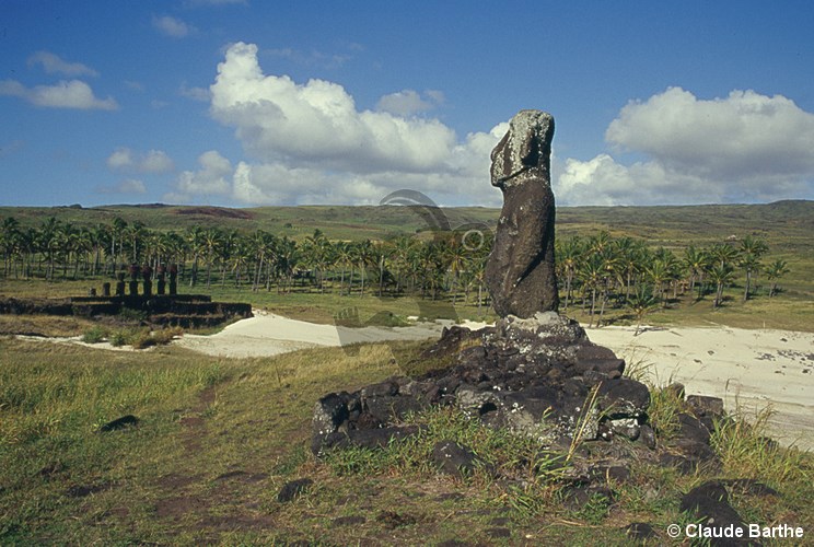 image05