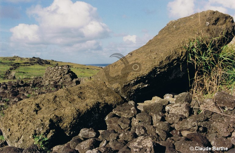 image14