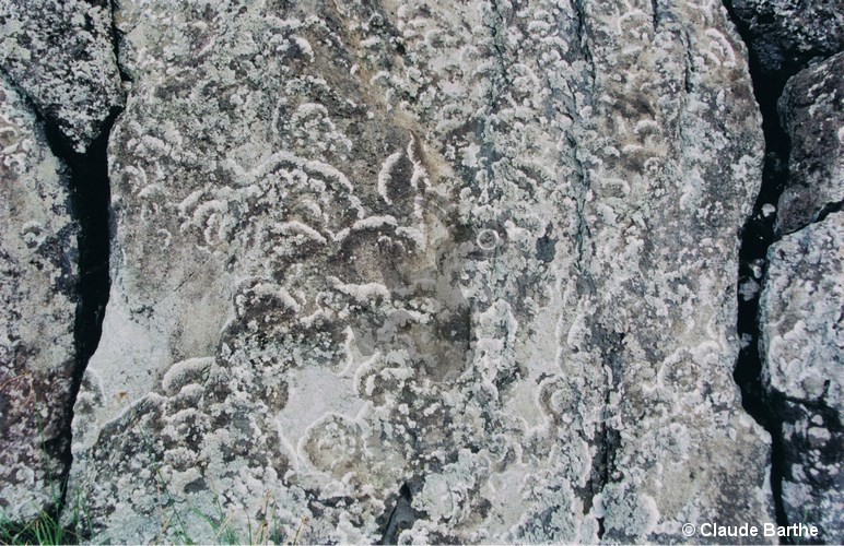 image17