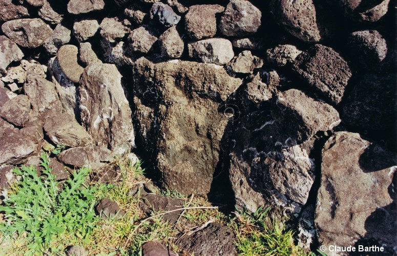 image15