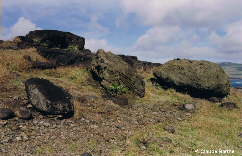 image06