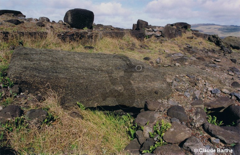 image07