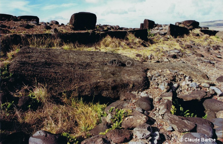 image08