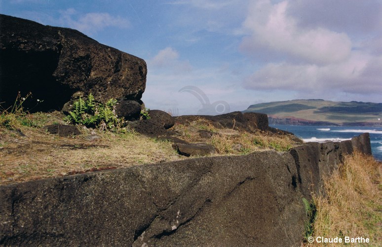 image13