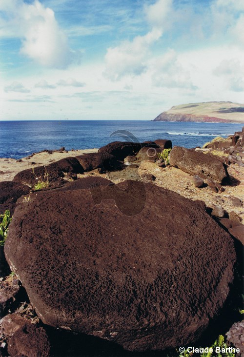 image16