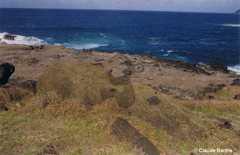 image11