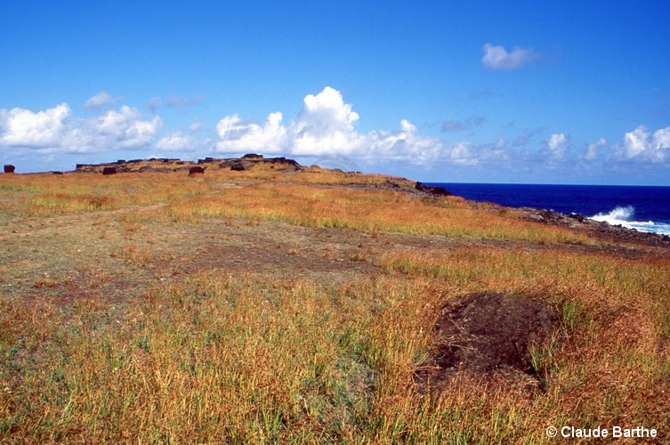 image02