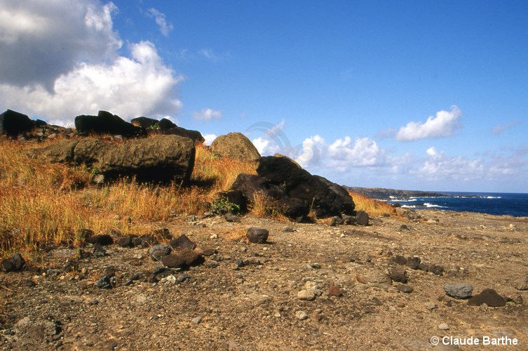 image09