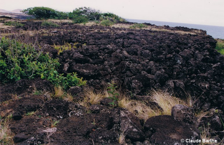 image03