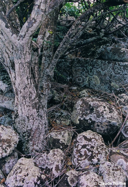 image04