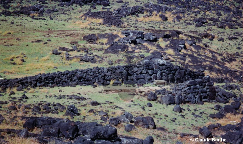 image02
