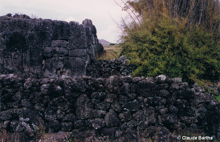 image08