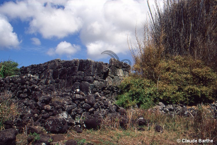 image07
