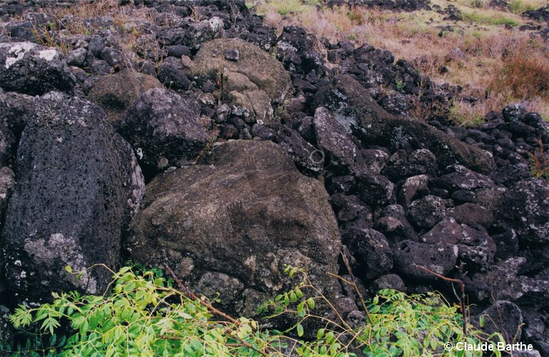 image03