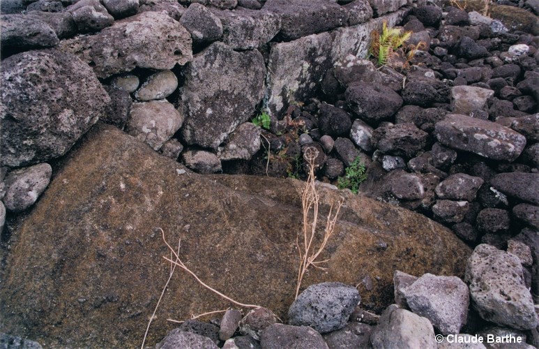 image04