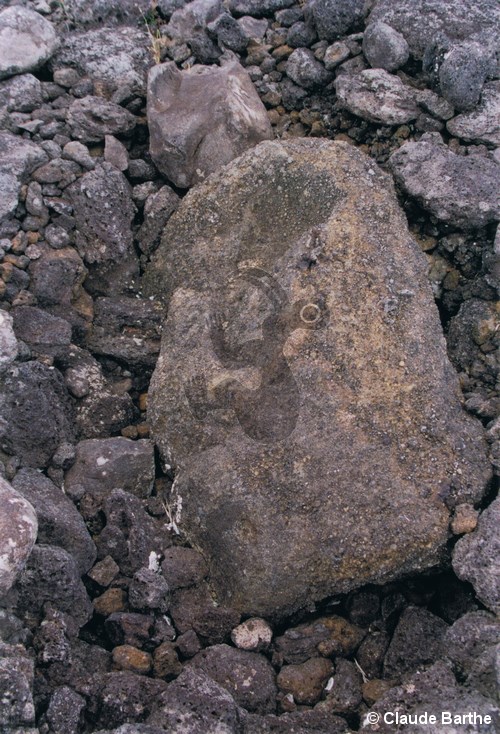 image05