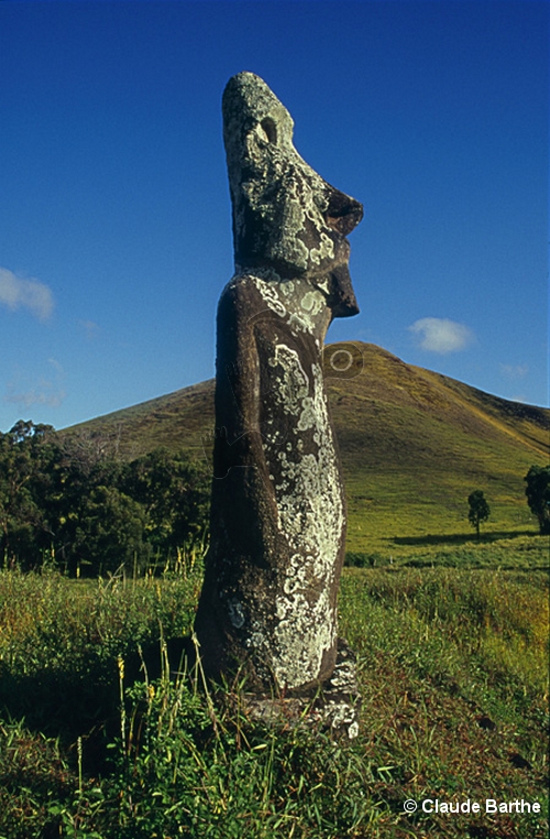 image03