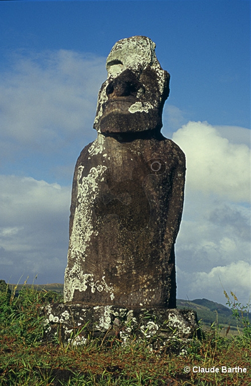 image06