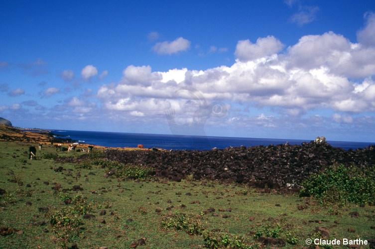 image01