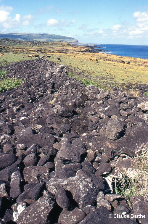 image04