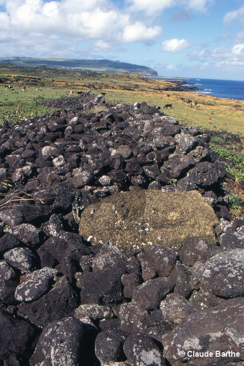 image03
