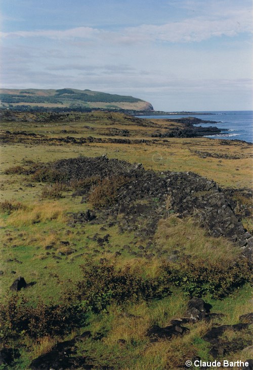 image05