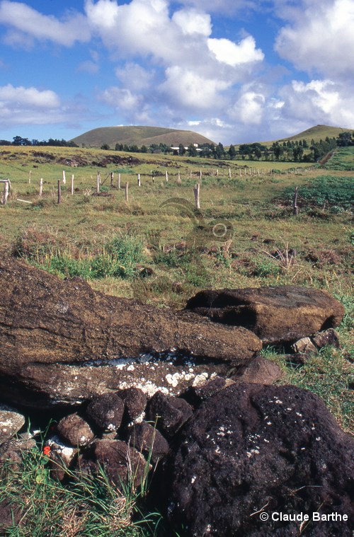 image05