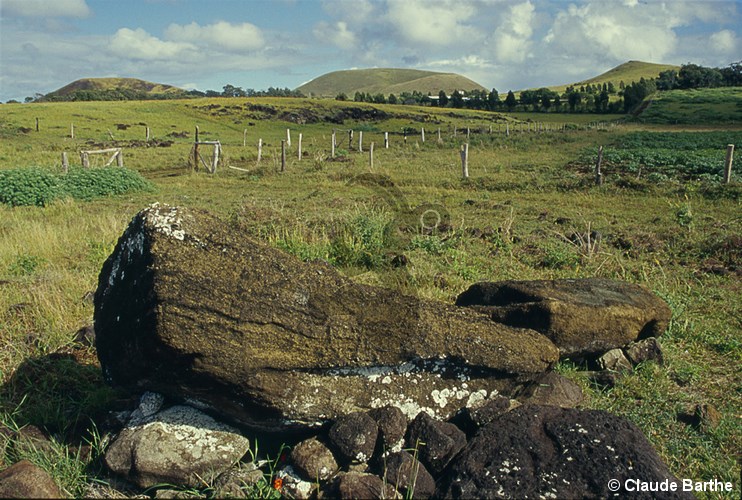 image03