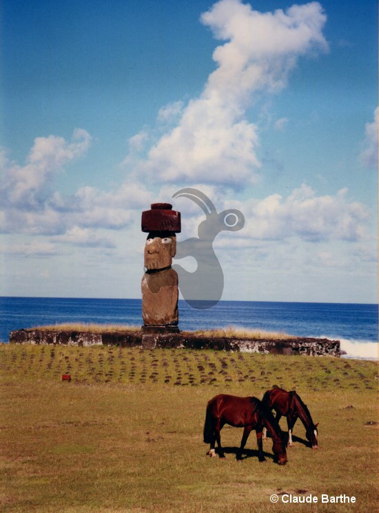 image10