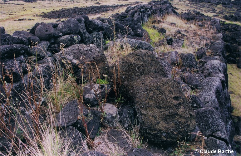 image08