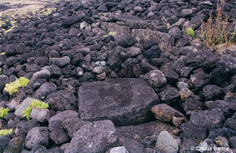 image10