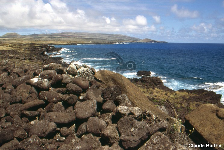 image07