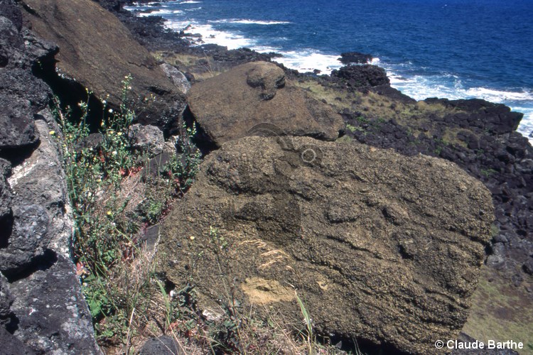 image11
