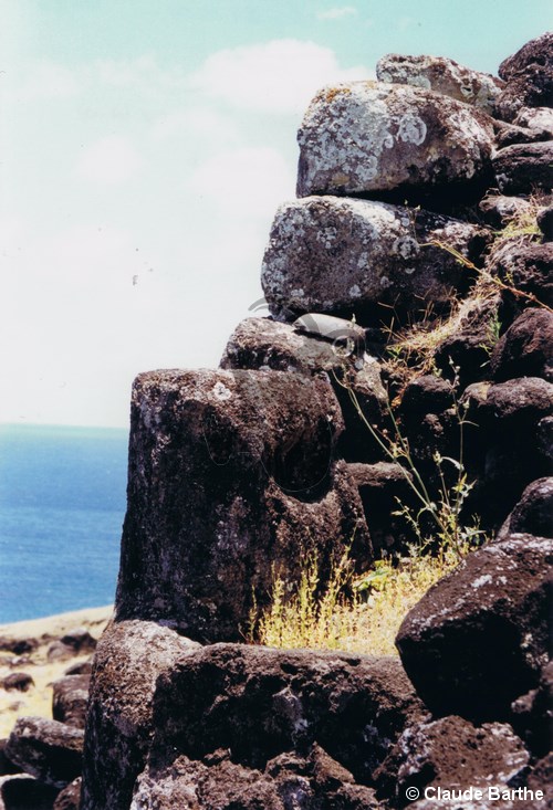 image06