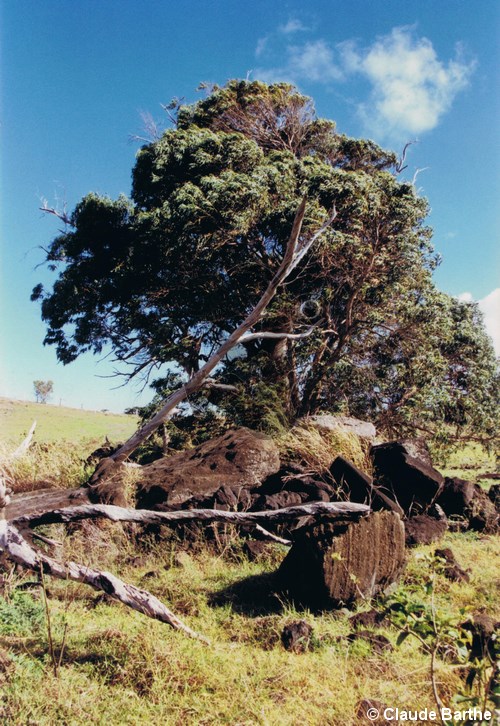image01