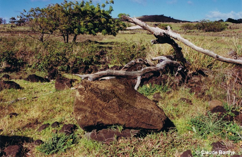 image02