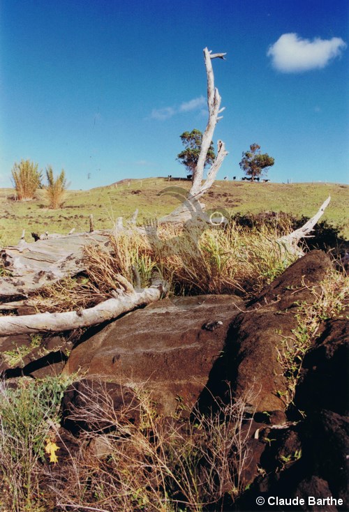 image03
