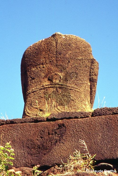 image26