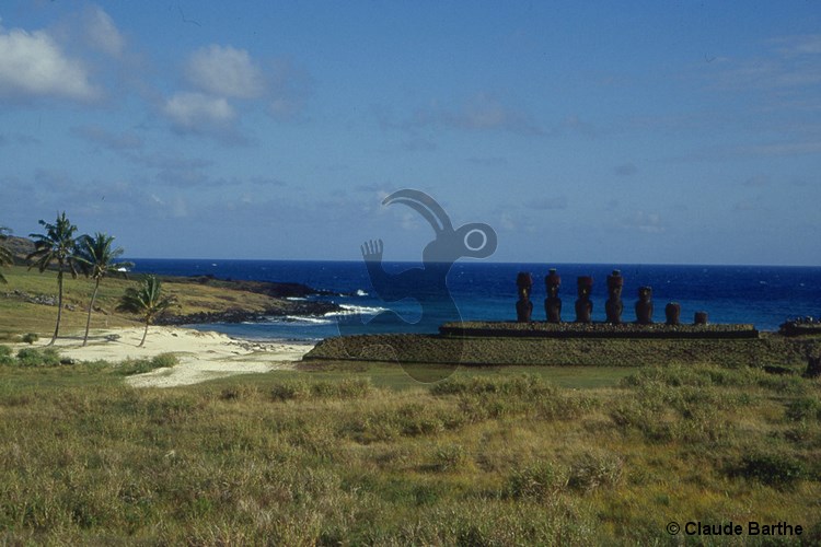 image12
