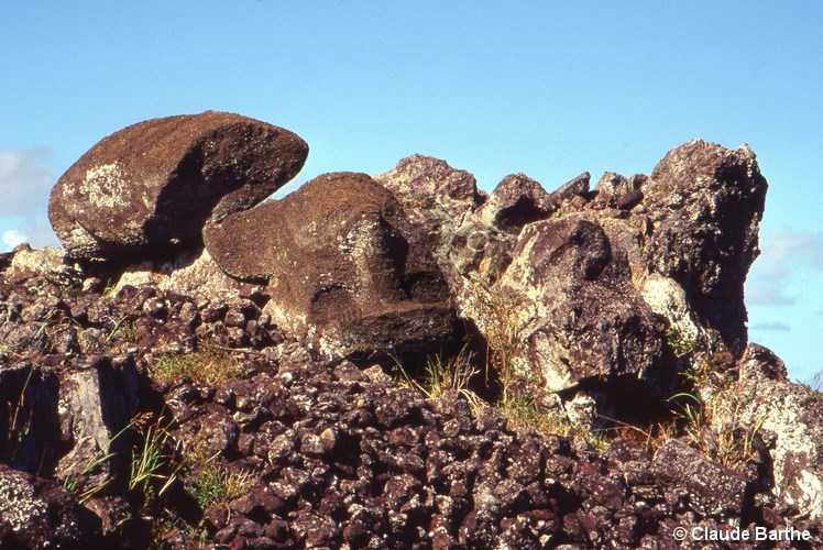 image05