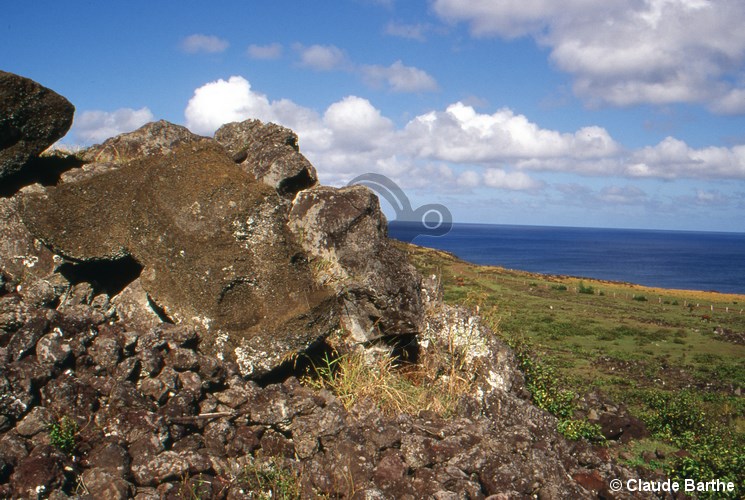 image07